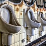 WC con fondo nero pulito grazie all'acido citrico, rimosso lo sporco in una notte.